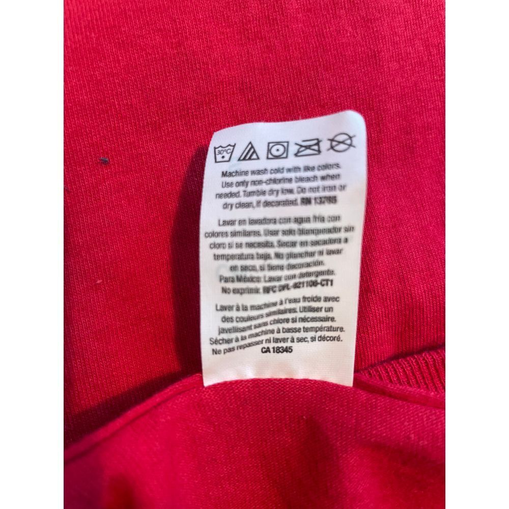 Norfolk Colony Delta Phi Lambda Red Sorority Gree… - image 6